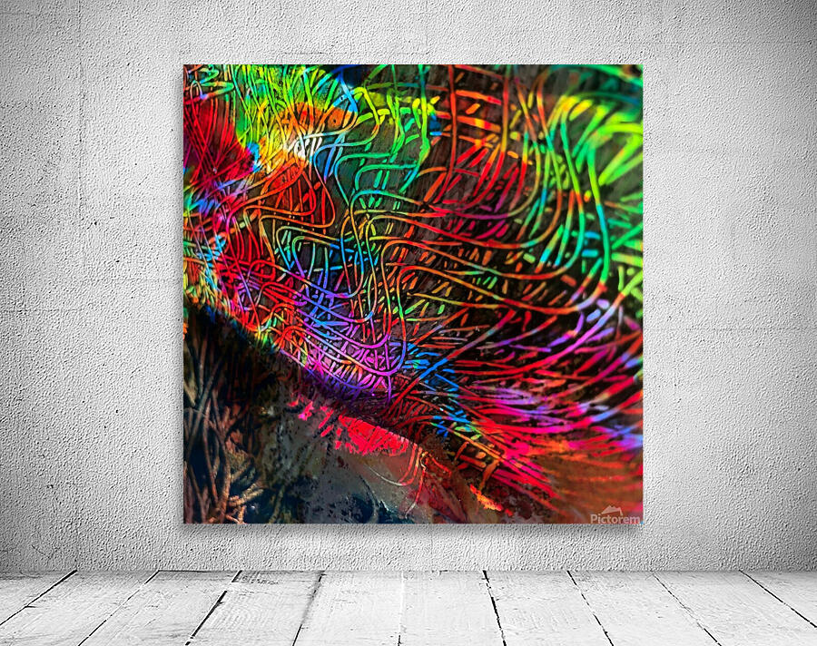Sea Fan  Wall Preview