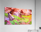 Taylor Creek Acrylic Print