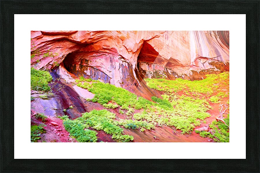 Taylor Creek Picture Frame print