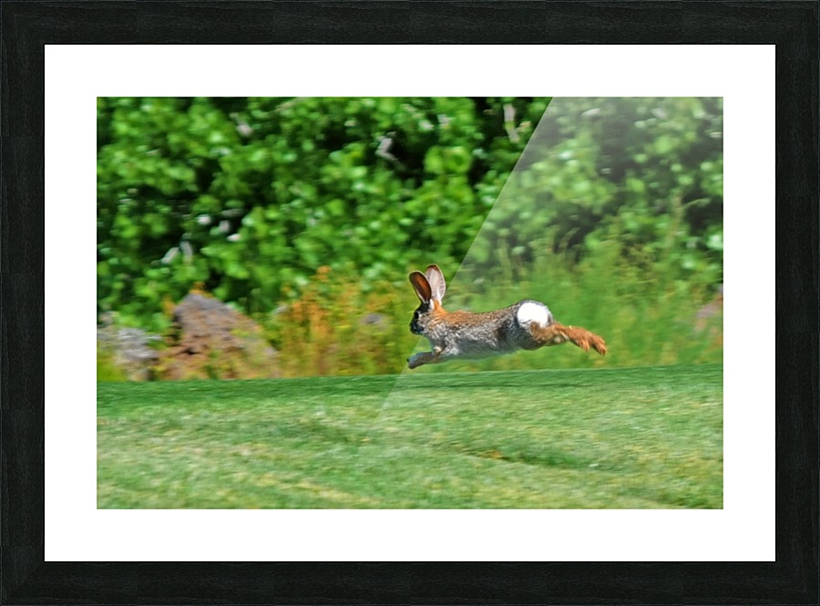 Flying Bunny Picture Frame print