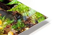 Shrooms HD Metal print