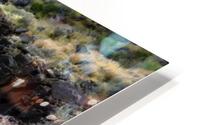 Secret Place HD Metal print