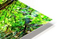 Bamboo Dreams HD Metal print