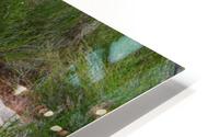 Small Stream HD Metal print