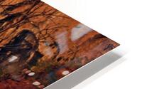 Sleeping Dragon HD Metal print
