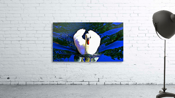 Swan Lake Wall Preview