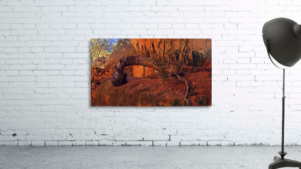 Sleeping Dragon Wall Preview