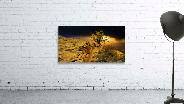 At Sunset Wall Preview