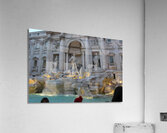 IMG 1371 Acrylic Print