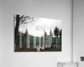 IMG 8848 Acrylic Print