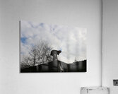 IMG 8830 Acrylic Print