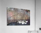 IMG 8860 Acrylic Print