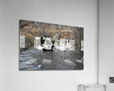 IMG 8852 Acrylic Print