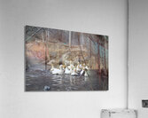 IMG 8853 Acrylic Print