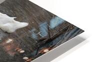 IMG 8856 HD Metal print