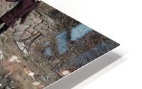 IMG 8861 HD Metal print