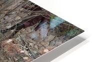 IMG 8860 HD Metal print