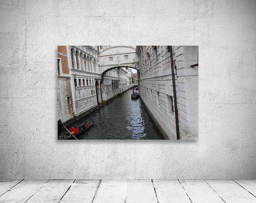 IMG 0950 Wall Preview