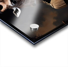 Regal Giraffe Aristocrats – Renaissance Royal Portrait Wall Art Acrylic print