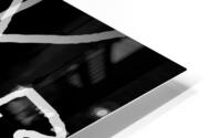 BMWSEROES21 HD Metal print