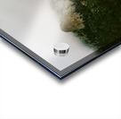 Misty Mountains in ABQ Acrylic print