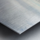 Montauk On Mushrooms Metal print