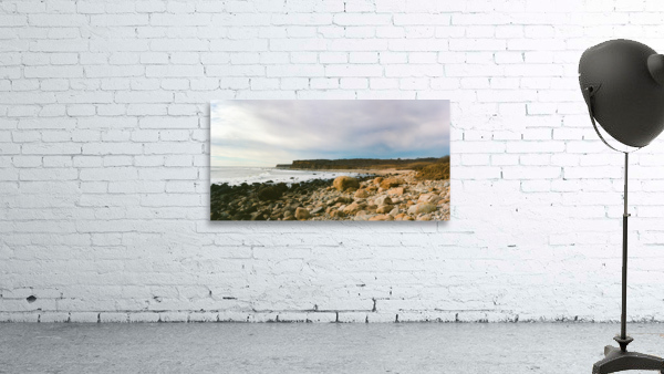 Montauk On Mushrooms Wall Preview