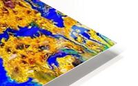 EXPENSIVE CORALS HD Metal print