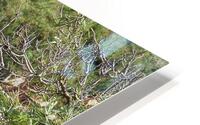 Azores HD Metal print