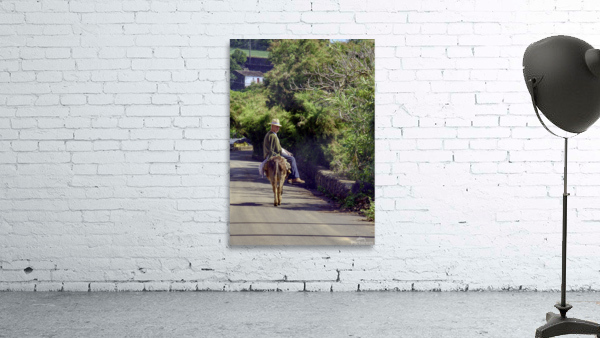 Azores Wall Preview