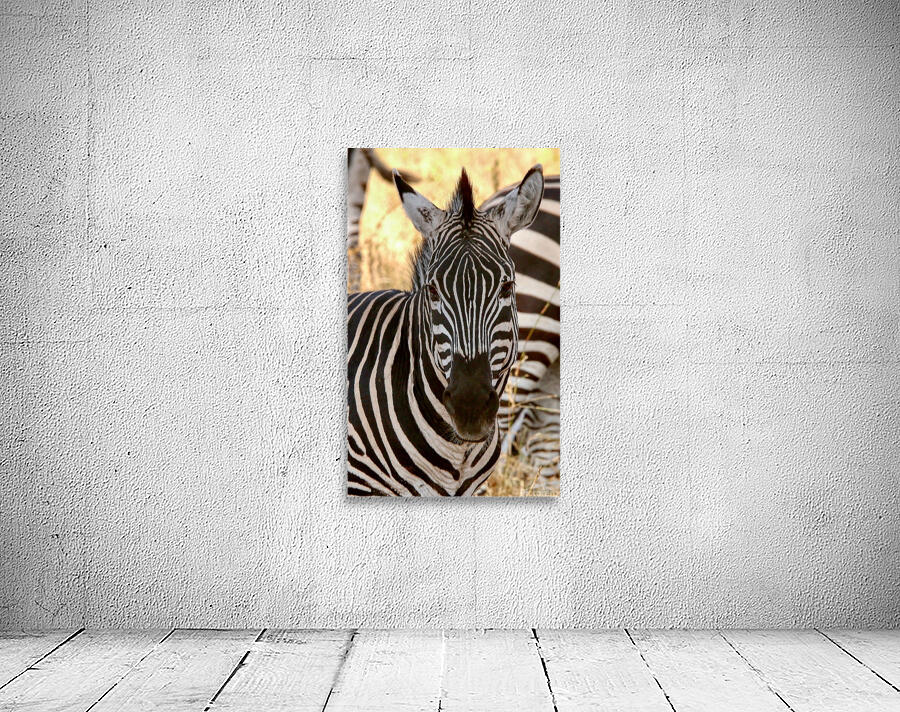Zebra Portrait Wall Preview