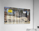 Gate of Runyon Acrylic Print