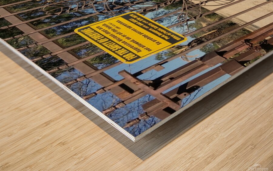 Gate of Runyon Wood print