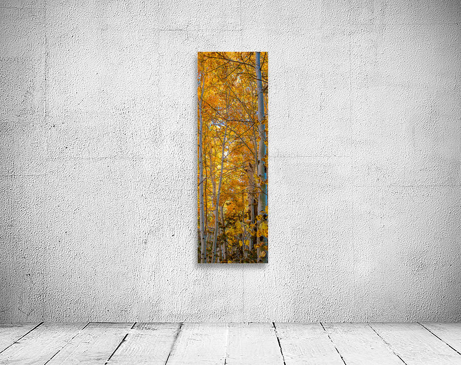 Golden Fall Colors Wall Preview