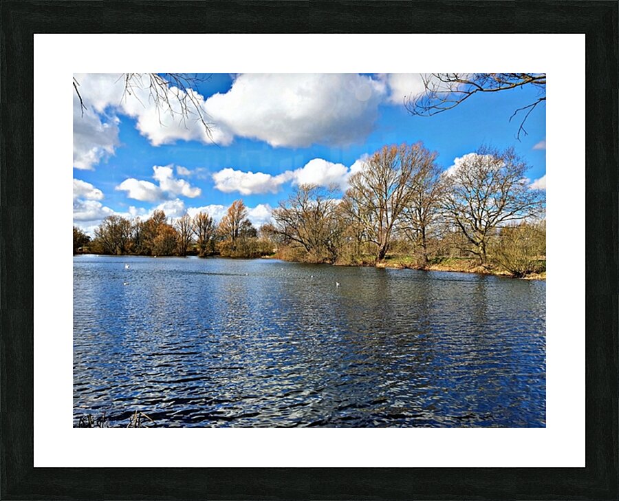  Fine Art print