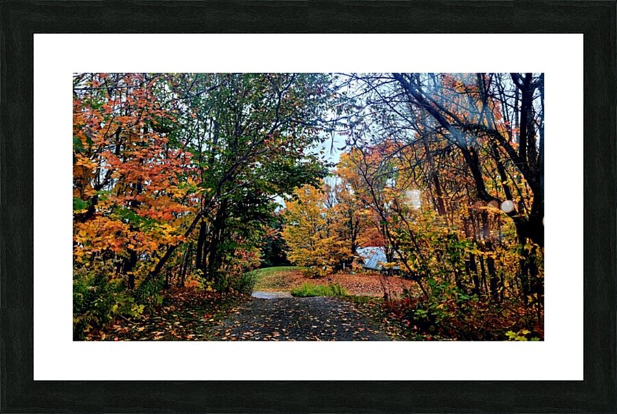 Autumn Adventures  Picture Frame print