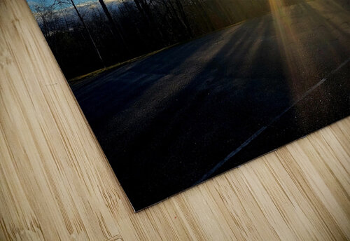 Mactier Sunrise  Joelle Wilcock puzzle