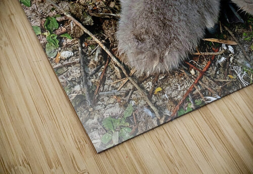 Nestled Together Joelle Wilcock puzzle