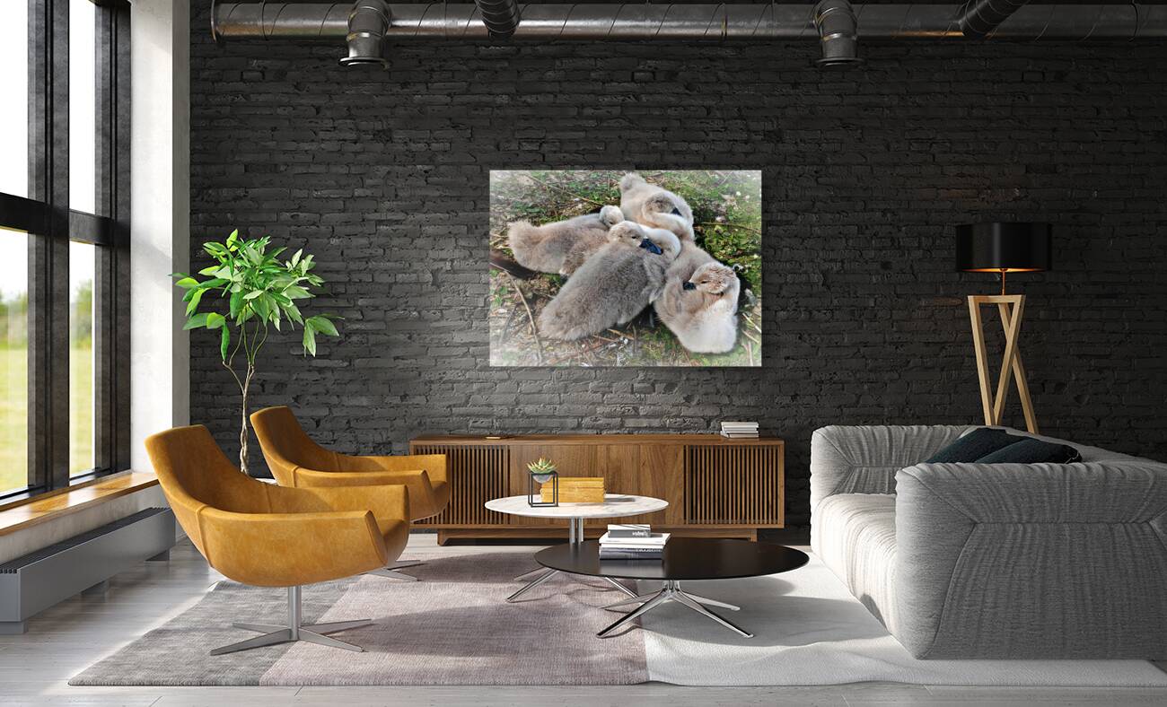 Nestled Together Reproduction