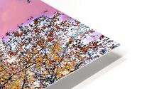 Autumn LOVE HD Metal print