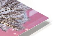 WINTER DAY  HD Metal print