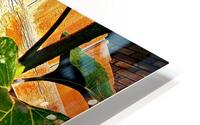 Self Reflection  HD Metal print