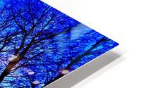 Vibrant HOPE HD Metal print