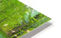 Vibrant Nature  HD Metal print