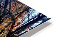 Autumn Adventures  HD Metal print