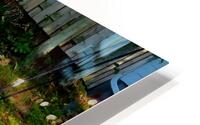 Hello Buck  HD Metal print