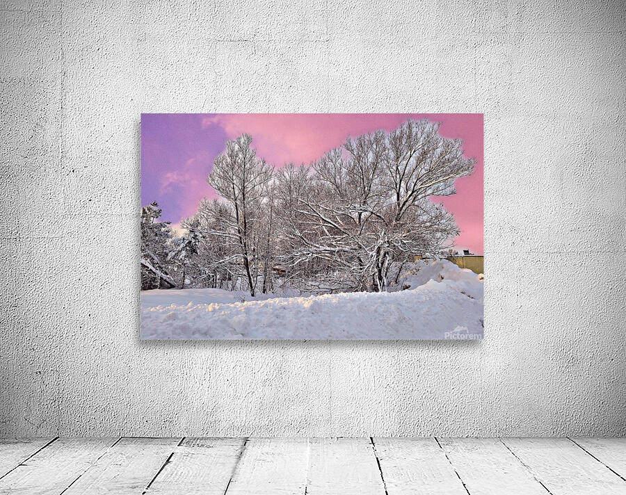 WINTER DAY  Wall Preview