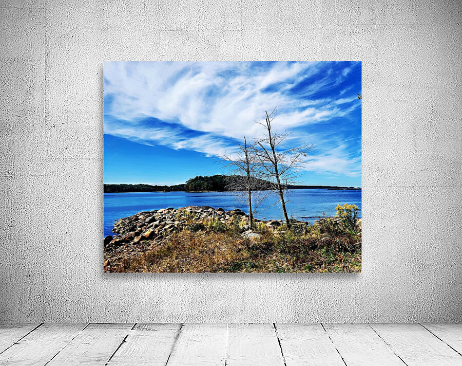 Friends by the Lake  Wall Preview