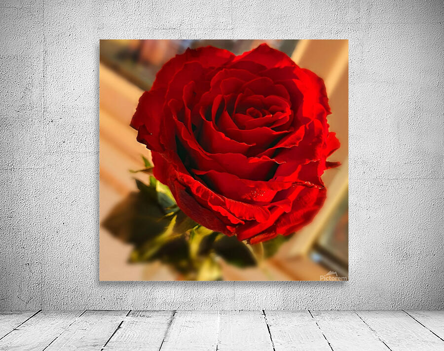 Beautiful Rose Wall Preview
