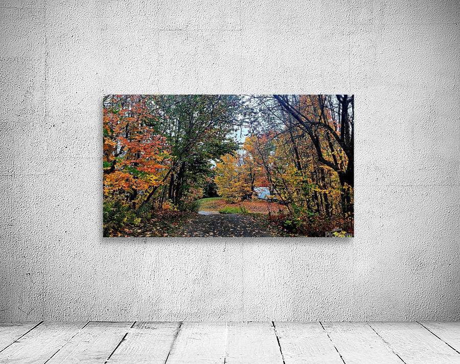 Autumn Adventures  Wall Preview